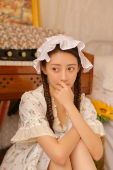 孤胆特工在线观看